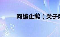 网络企鹅（关于网络企鹅的介绍）