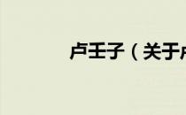 卢壬子（关于卢壬子的介绍）