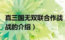 真三国无双联合作战（关于真三国无双联合作战的介绍）