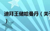 迪拜王储哈曼丹（关于迪拜王储哈曼丹的介绍）