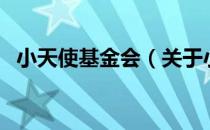 小天使基金会（关于小天使基金会的介绍）