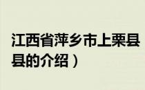 江西省萍乡市上栗县（关于江西省萍乡市上栗县的介绍）
