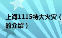 上海1115特大火灾（关于上海1115特大火灾的介绍）