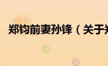 郑钧前妻孙锋（关于郑钧前妻孙锋的介绍）