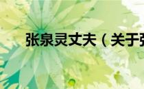 张泉灵丈夫（关于张泉灵丈夫的介绍）