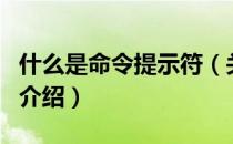 什么是命令提示符（关于什么是命令提示符的介绍）