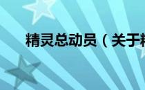 精灵总动员（关于精灵总动员的介绍）