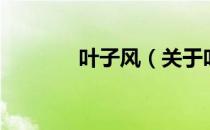 叶子风（关于叶子风的介绍）