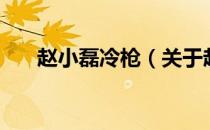 赵小磊冷枪（关于赵小磊冷枪的介绍）