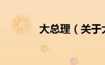 大总理（关于大总理的介绍）