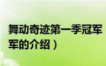 舞动奇迹第一季冠军（关于舞动奇迹第一季冠军的介绍）