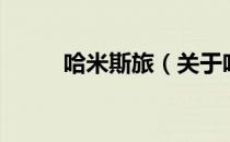 哈米斯旅（关于哈米斯旅的介绍）
