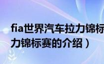 fia世界汽车拉力锦标赛（关于fia世界汽车拉力锦标赛的介绍）
