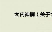 大内神捕（关于大内神捕的介绍）