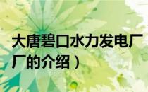 大唐碧口水力发电厂（关于大唐碧口水力发电厂的介绍）