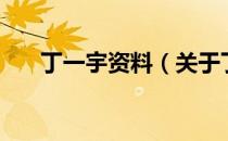 丁一宇资料（关于丁一宇资料的介绍）