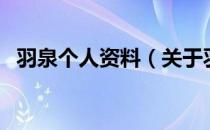 羽泉个人资料（关于羽泉个人资料的介绍）