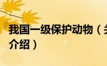 我国一级保护动物（关于我国一级保护动物的介绍）
