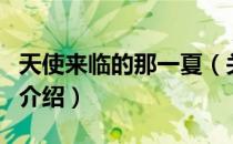 天使来临的那一夏（关于天使来临的那一夏的介绍）