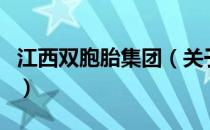 江西双胞胎集团（关于江西双胞胎集团的介绍）