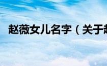 赵薇女儿名字（关于赵薇女儿名字的介绍）