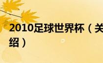 2010足球世界杯（关于2010足球世界杯的介绍）