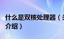 什么是双核处理器（关于什么是双核处理器的介绍）