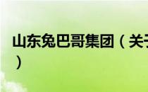 山东兔巴哥集团（关于山东兔巴哥集团的介绍）