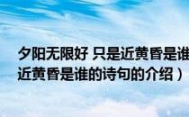 夕阳无限好 只是近黄昏是谁的诗句（关于夕阳无限好 只是近黄昏是谁的诗句的介绍）