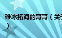碓冰拓海的哥哥（关于碓冰拓海的哥哥的介绍）