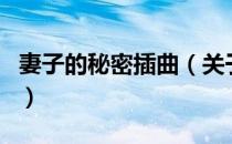 妻子的秘密插曲（关于妻子的秘密插曲的介绍）
