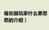 骨灰级玩家什么意思（关于骨灰级玩家什么意思的介绍）