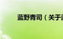蓝野青司（关于蓝野青司的介绍）