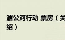 湄公河行动 票房（关于湄公河行动 票房的介绍）