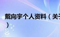 戴向宇个人资料（关于戴向宇个人资料的介绍）