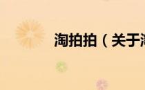 淘拍拍（关于淘拍拍的介绍）