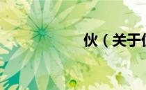 伙（关于伙的介绍）