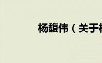 杨馥伟（关于杨馥伟的介绍）