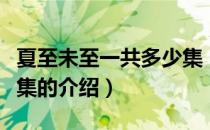 夏至未至一共多少集（关于夏至未至一共多少集的介绍）