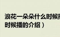 浪花一朵朵什么时候播（关于浪花一朵朵什么时候播的介绍）