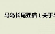 马岛长尾狸猫（关于马岛长尾狸猫的介绍）