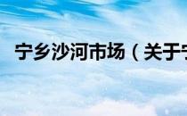 宁乡沙河市场（关于宁乡沙河市场的介绍）