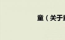 童（关于童的介绍）