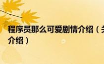 程序员那么可爱剧情介绍（关于程序员那么可爱剧情介绍的介绍）