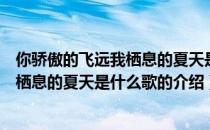 你骄傲的飞远我栖息的夏天是什么歌（关于你骄傲的飞远我栖息的夏天是什么歌的介绍）