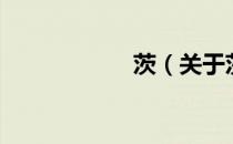 茨（关于茨的介绍）