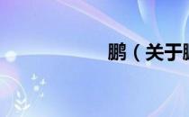 鹏（关于鹏的介绍）