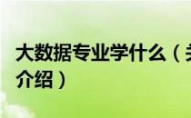 大数据专业学什么（关于大数据专业学什么的介绍）