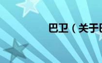 巴卫（关于巴卫的介绍）