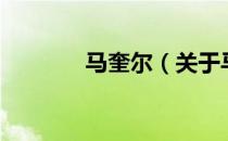 马奎尔（关于马奎尔的介绍）